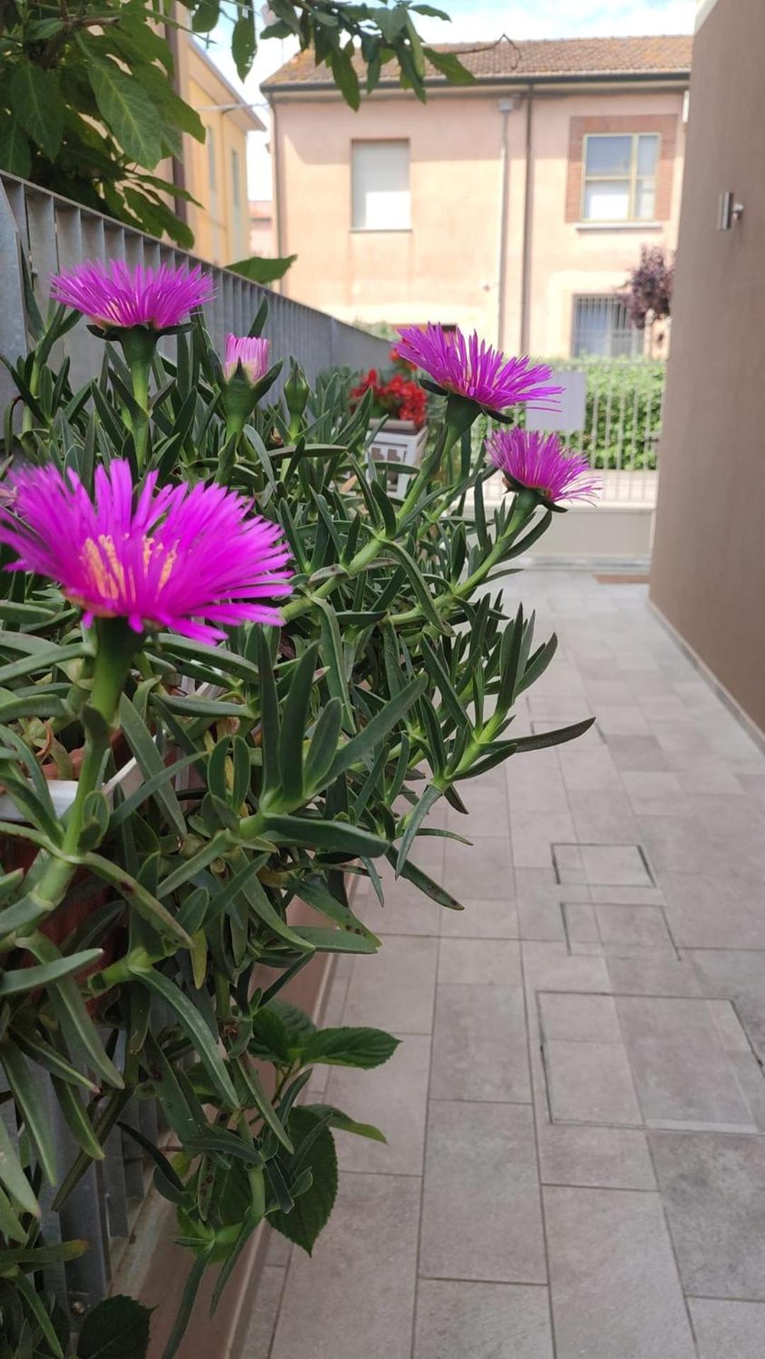 Darsena B&B Tra Arte E Mare Равенна Екстер'єр фото